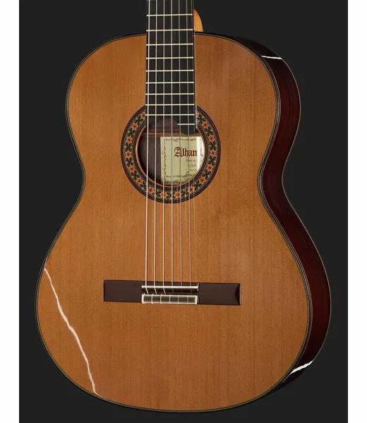 Alhambra 10 Premier w/Case, lähikuva 4