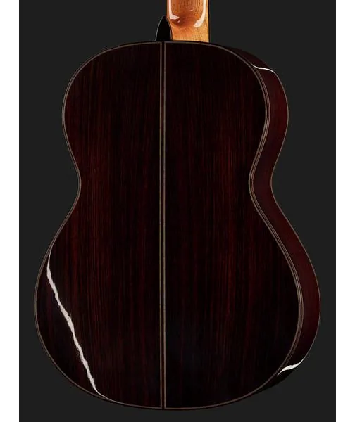 Alhambra 10 Premier w/Case, lähikuva 5