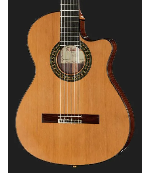 Alhambra 5P CT E2 incl.Gig Bag, lähikuva 4