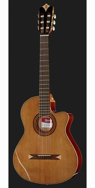 Alhambra CS-1 CW E1 incl.Gig Bag, lähikuva 2