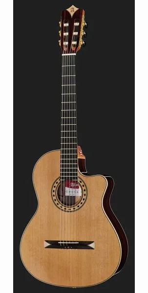 Alhambra CS-3 CW E8 incl.Gig Bag, lähikuva 2
