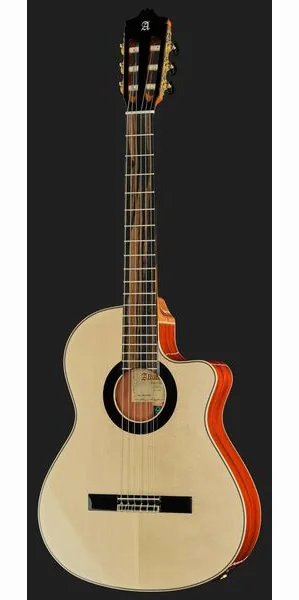 Alhambra Green Sustain Cut E8 w/Gig Bag, lähikuva 2