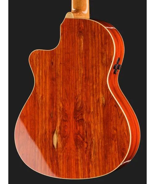 Alhambra Green Sustain Cut E8 w/Gig Bag, lähikuva 5