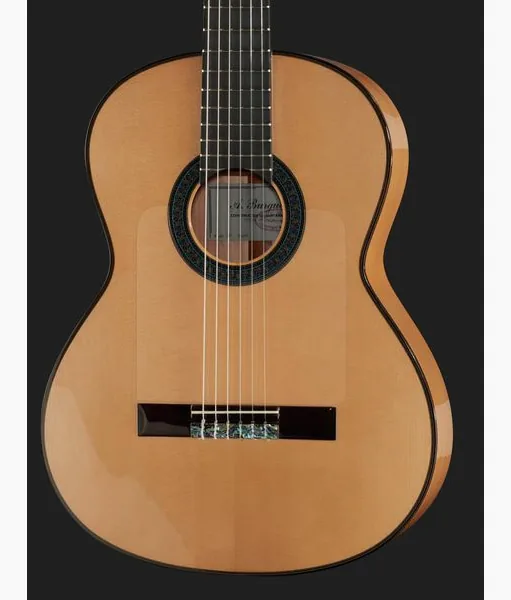 Amalio Burguet 1F Spruce Flamenco w/ Case, lähikuva 4