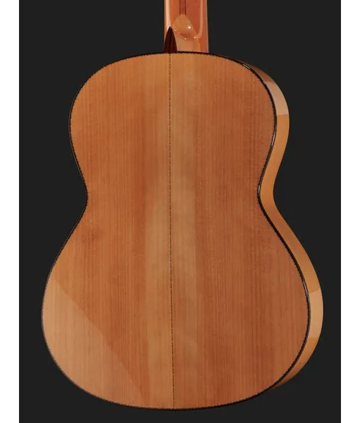 Amalio Burguet 1F Spruce Flamenco w/ Case, lähikuva 5