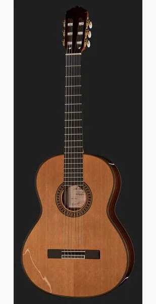 Amalio Burguet 2DV w/Case, lähikuva 2