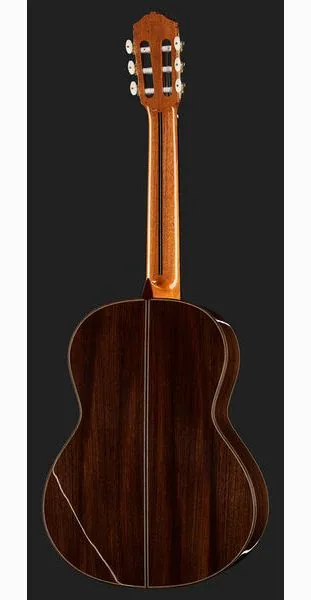 Amalio Burguet 2DV w/Case, lähikuva 3