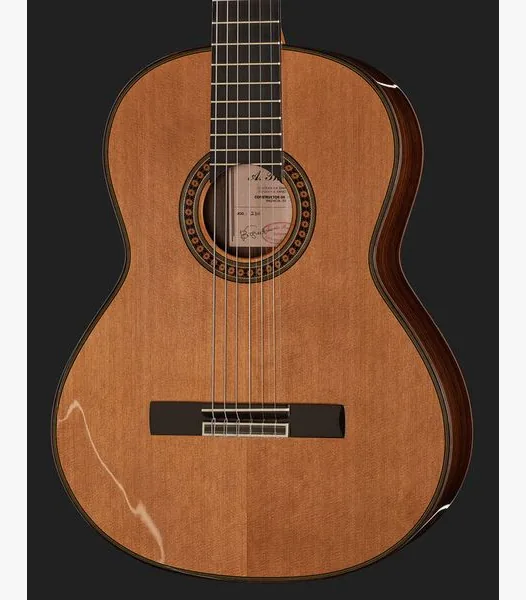 Amalio Burguet 2DV w/Case, lähikuva 4