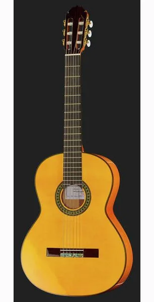 Amalio Burguet 2F Spruce Flamenco w/Case, lähikuva 2