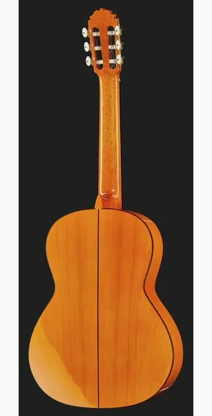 Amalio Burguet 2F Spruce Flamenco w/Case, lähikuva 3