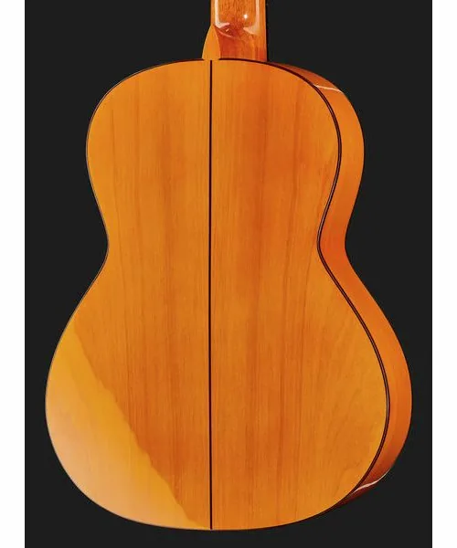 Amalio Burguet 2F Spruce Flamenco w/Case, lähikuva 5