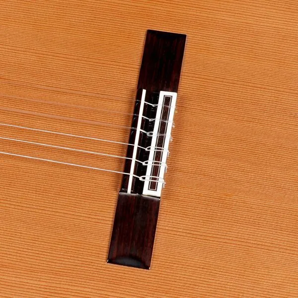 Amalio Burguet Noguera Walnut Cedar w/Case, lähikuva 4