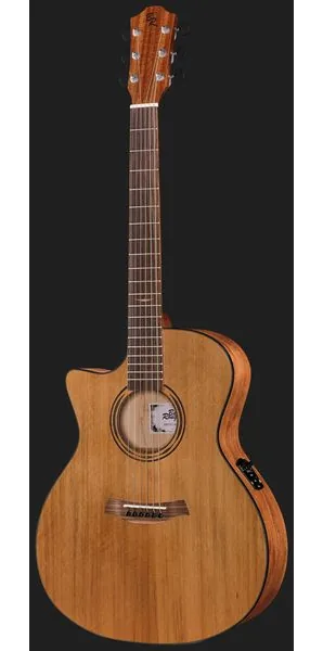Baton Rouge AR21C/ACEC-L, lähikuva 2