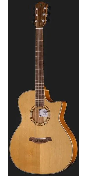 Baton Rouge AR81C/ACEC-N, lähikuva 2