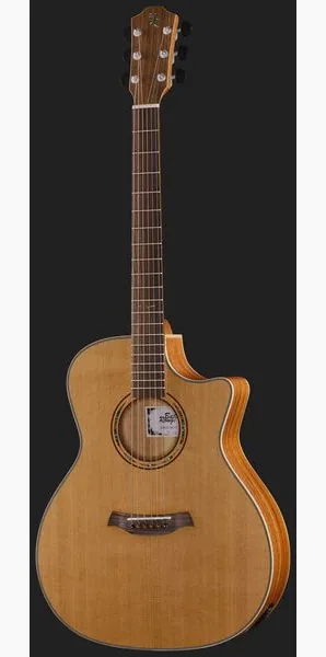 Baton Rouge AR81C/ACEC-W, lähikuva 2