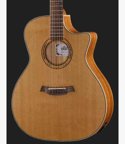 Baton Rouge AR81C/ACEC-W, lähikuva 4