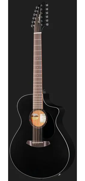 Breedlove Discovery S CN SAT. BLK DBL12, lähikuva 2