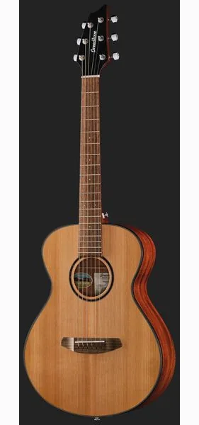 Breedlove Discovery S Companion, lähikuva 2