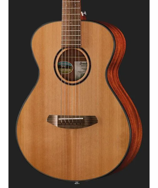 Breedlove Discovery S Companion, lähikuva 4