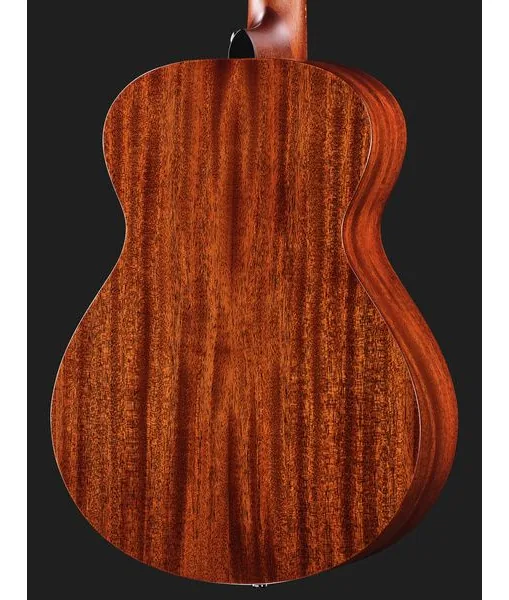 Breedlove Discovery S Companion, lähikuva 5