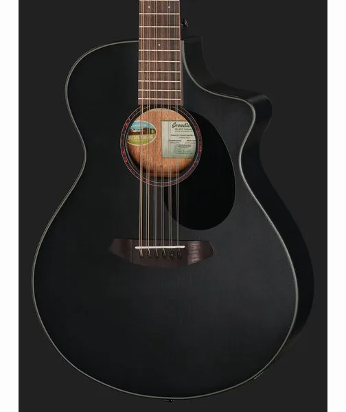 Breedlove Discovery S Conc 12-St CE BS, lähikuva 4