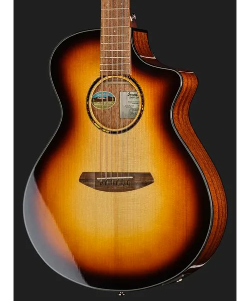 Breedlove Discovery S Conc 12-St CE EB, lähikuva 4