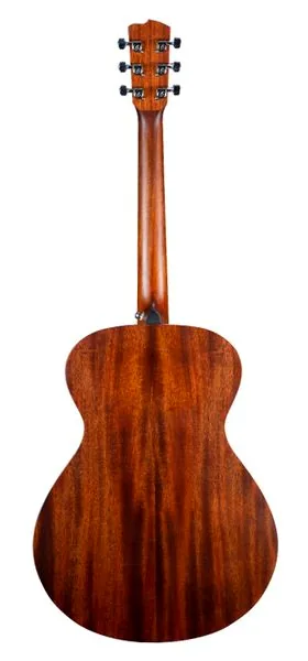 Breedlove Discovery S Dreadnought Spruce, lähikuva 2