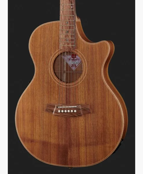Cole Clark TL2EC-BLBL Thin line, lähikuva 4