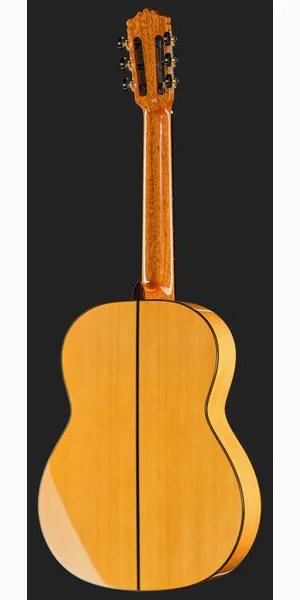 Cordoba F10 Flamenco, lähikuva 3