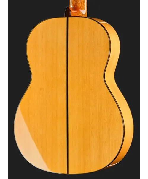 Cordoba F10 Flamenco, lähikuva 5