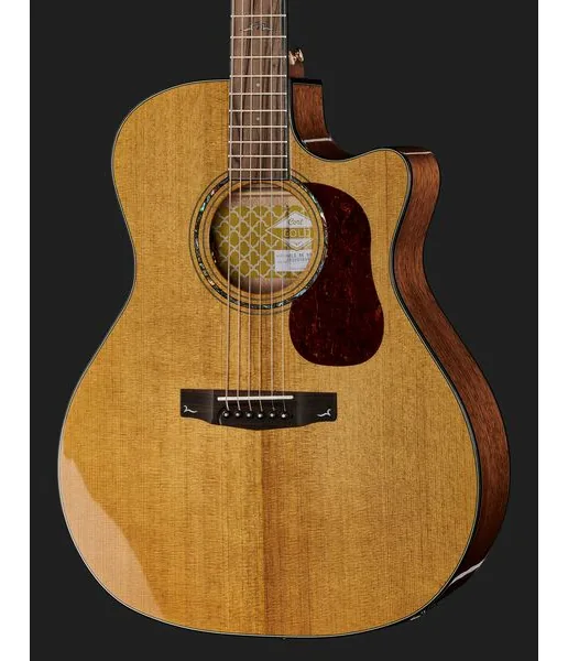 Cort Gold A6, lähikuva 4