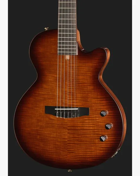Cort Sunset Nylectric DLX, lähikuva 4