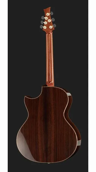Cuntz Guitars CWG-23S Indian Rose Custom, lähikuva 3