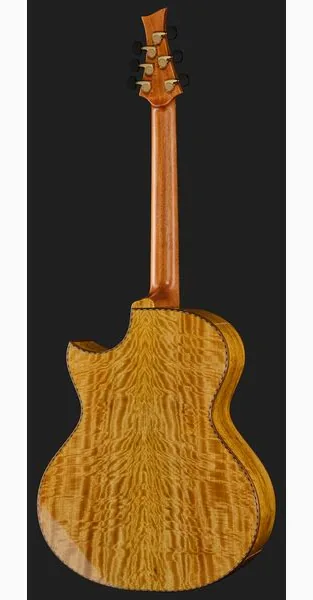 Cuntz Guitars CWG-23S Muving Custom, lähikuva 3