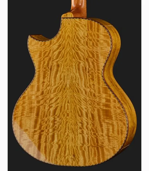 Cuntz Guitars CWG-23S Muving Custom, lähikuva 5