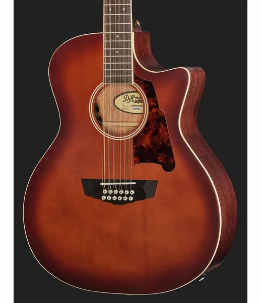 DAngelico Premier Fulton Caramel Burst, lähikuva 4