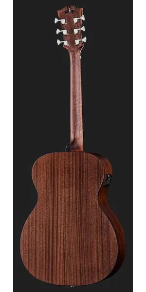 DAngelico Premier Tammany LS SVSB, lähikuva 3