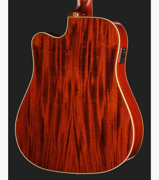 Epiphone Hummingbird Standard EC CS, lähikuva 5