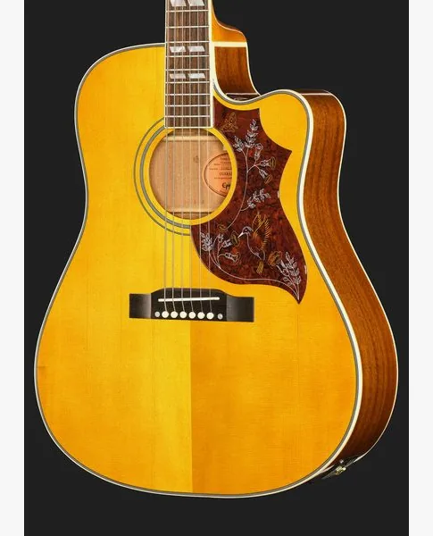 Epiphone Hummingbird Standard EC N, lähikuva 4