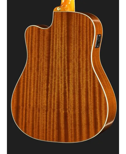 Epiphone Hummingbird Standard EC N, lähikuva 5