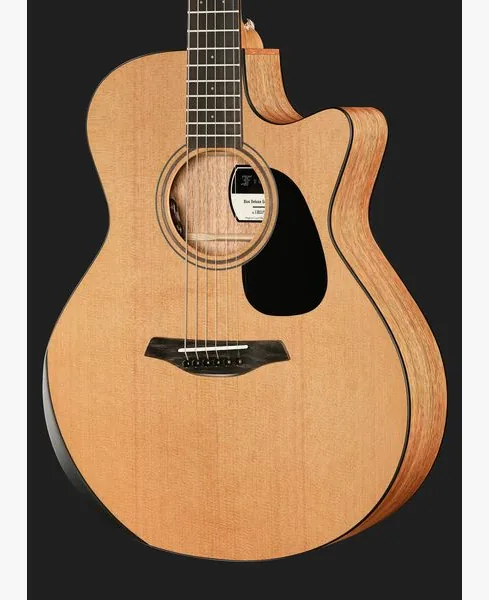 Furch Blue Deluxe Gc-CM VTC a w/GB, lähikuva 4