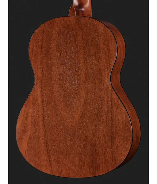 Gewa Student Natural Cedar 3/4, lähikuva 5