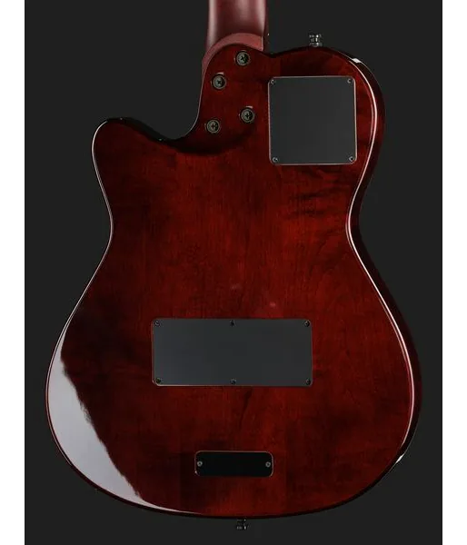 Godin A12 Ultra Dlx Lightburst, lähikuva 5