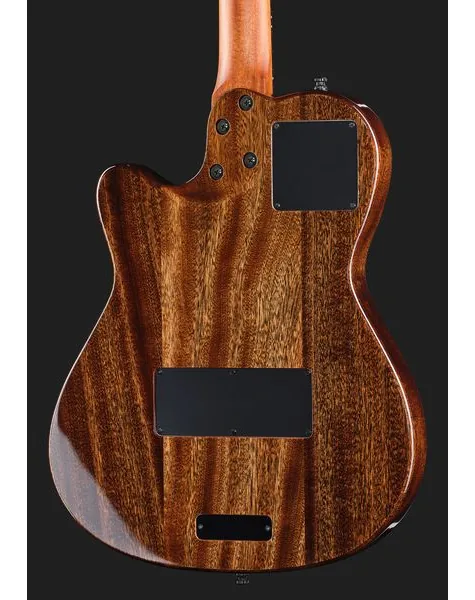 Godin A6 Ultra Dlx Natural, lähikuva 5