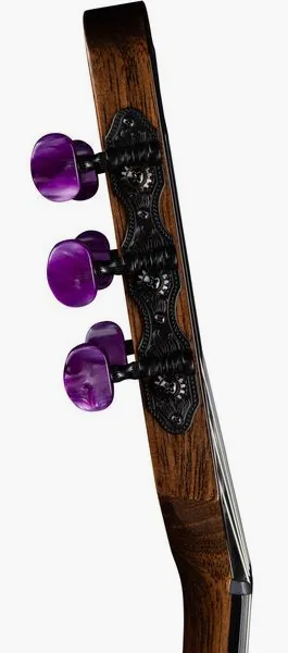 Godin ACS Nylon Steve Stevens LTD, lähikuva 5