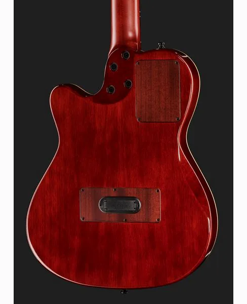 Godin Multiac Nylon Deluxe, lähikuva 5