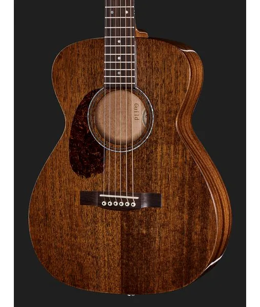 Guild M-120LH Nat Westerly, lähikuva 4