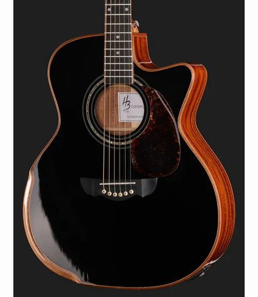 Harley Benton CLG-650SM-CE BK SolidWood, lähikuva 4