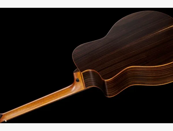 Harley Benton CLG-70ASR CE NAT Solid w/Case, lähikuva 4