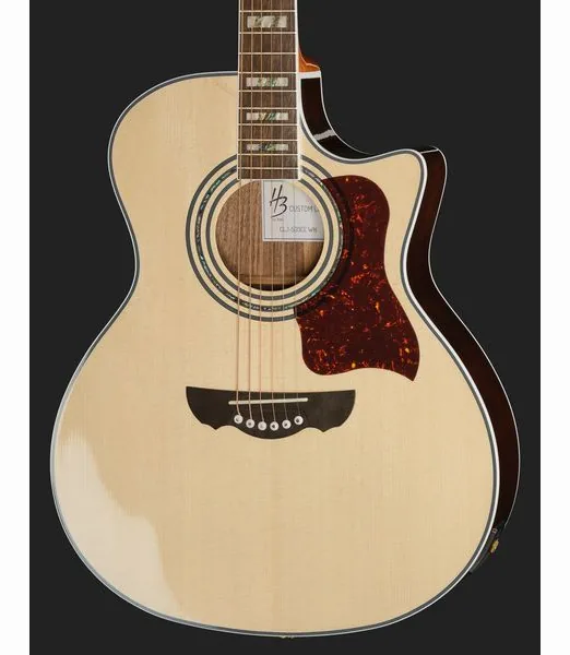 Harley Benton CLJ-503CE, lähikuva 4